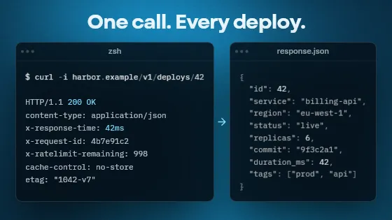 API call and response, code template